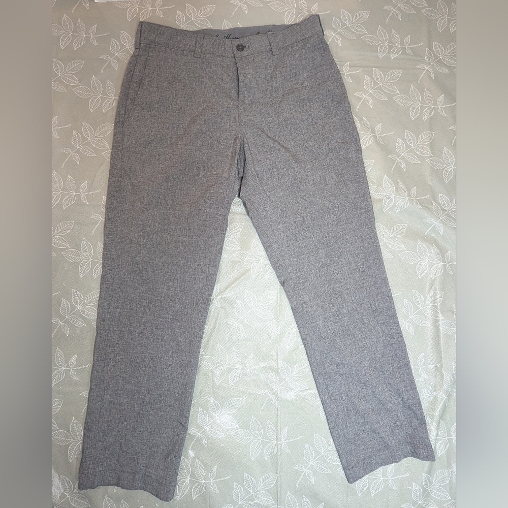 Dress pants